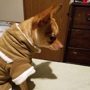 Meet your Posher, Patricia